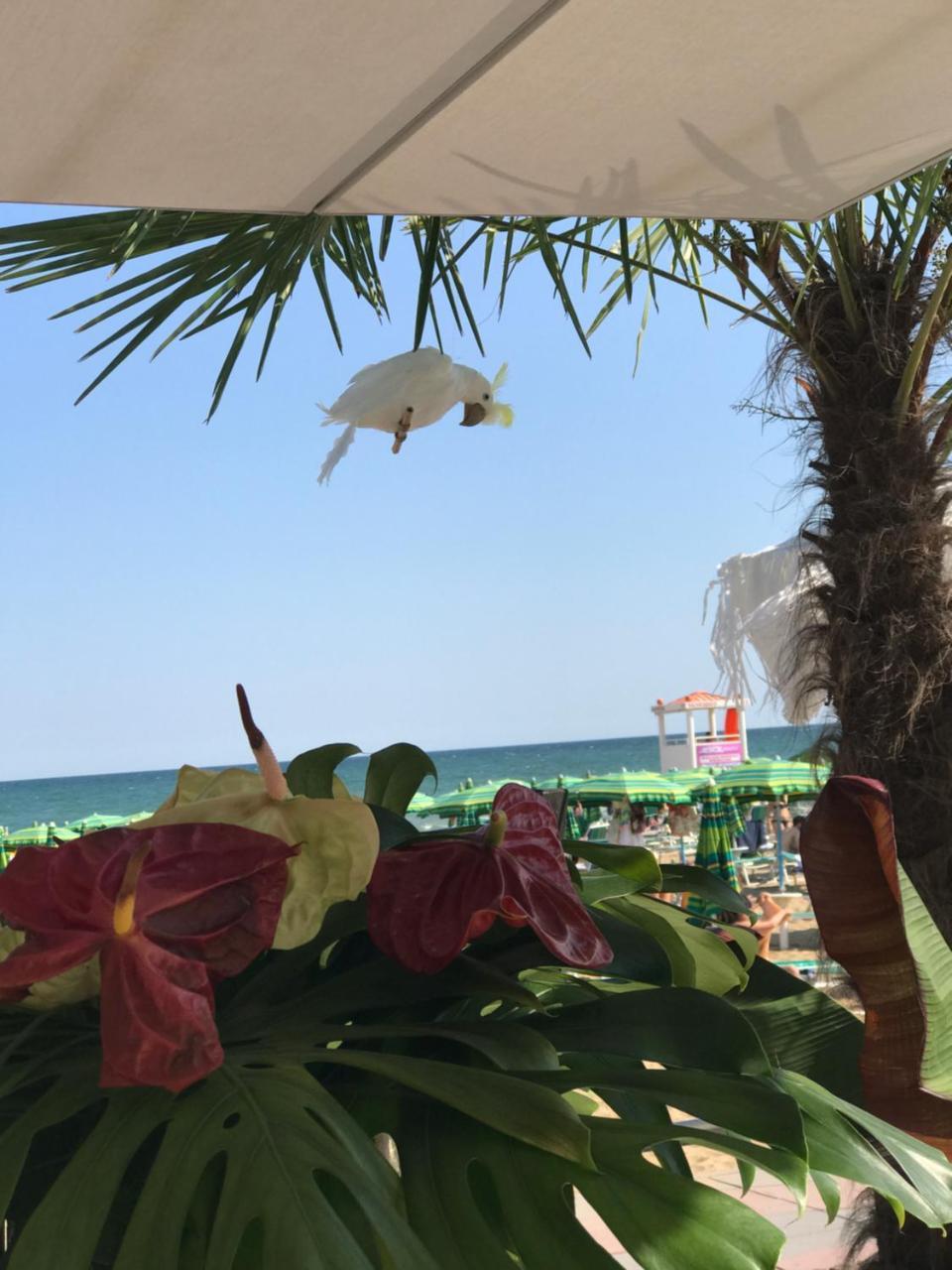 Bellariva Lido di Jesolo